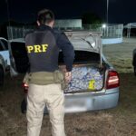 Homem é preso em Boa Vista com uma tonelada de alho contrabandeado da Guiana