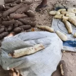 Nove comunidades indígenas de Roraima já informaram sentir os efeitos da estiagem