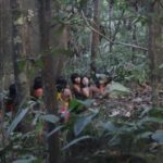 Bienal de SP apresenta filmes dirigidos por Yanomamis