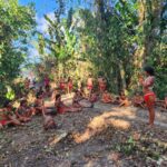 ‘Grávidas bebem água com doença’, denunciam mulheres Yanomami