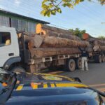 Carga com 39m³ de madeira irregular é apreendida pela PRF na BR-174