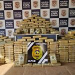 Polícia Civil de Roraima apreendeu mais de 1,6 tonelada de drogas em 2023