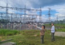 Cade aprova compra de quatro termelétricas da Oliveira Energia pelo grupo J&F em Roraima