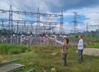 Cade aprova compra de quatro termelétricas da Oliveira Energia pelo grupo J&F em Roraima
