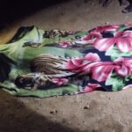 Tuxaua morre após ser atropelado por caminhão baú em rodovia no interior de Roraima