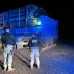 Nove são presos e arma, munições, madeira e ouro são apreendidos em operação nas rodovias de RR