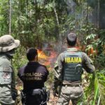 Operações na Terra Yanomami já destruíram duas aeronaves e 78 motores neste ano