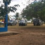 PM apreende mais de 200 galos e ‘ringue’ de rinha na fazenda do ex-senador Telmário Mota
