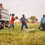 Aprovado o selo da Agricultura Familiar de Roraima