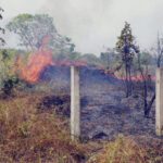 Queimadas em Roraima fazem Brasil bater recorde em emissões de carbono