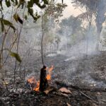 Com seca em Roraima, Brasil bate recorde de queimadas no Brasil nos primeiros quatro meses de 2024