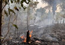 Comissão na Câmara aprova suspensão temporária de parcelas de financiamentos rurais para produtores de Roraima