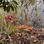 Queimadas, seca, e os impactos para a saúde dos roraimenses