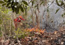 El Niño antecipa estiagem e acende alerta para queimadas em Roraima