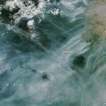 Queimadas em Roraima são registradas por satélite da Nasa