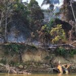 Rios e igarapés secam na Terra Indígena Yanomami