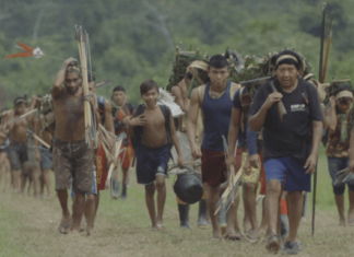 ‘A queda do Céu’, com Davi Kopenawa, será exibido na COP 30 com a presença do xamã