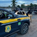 Indianos são detidos ao atravessarem fronteira com a Guiana de forma ilegal na BR-401