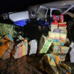 Mais de 300 kg de skunk são apreendidos após pouso forçado de avião em Mucajaí