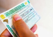 Renovação automática de CNH começa a valer para motoristas sem infrações