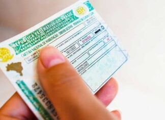 Renovação automática de CNH começa a valer para motoristas sem infrações