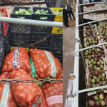 Caminhão com 11 toneladas de mangas é interceptado no posto do Jundiá