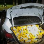 Nove toneladas de farinha de milho são apreendidas na BR-174 em Roraima