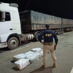 Carga com 139 kg de maconha vinda da Guiana é apreendida na BR-174 em Boa Vista
