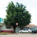Novo prédio da UBS do Caranã será construído a partir desta segunda-feira (1º)