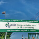 Conab faz leilões para compra de cestas de alimentos para os yanomami