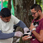Campanha de vacinação antirrábica em Boa Vista começa neste sábado (3)