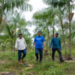 Sampaio propõe evento para apresentar diagnóstico da Cadeia Produtiva do açaí, cacau e mel em Roraima
