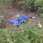 Ossada humana é encontrada por homem que filmava tamanduá em Boa Vista; veja vídeo
