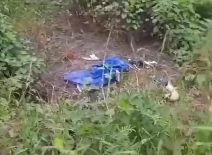 wZZdXY1n-IMG-20240717-WA0314-1024x749