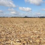 Roraima decreta emergência por estiagem após rios atingirem níveis críticos e focos de calor baterem recorde
