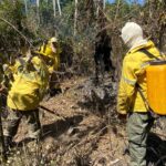 ICMBio abre seletivo com duas vagas para agente ambiental em Roraima