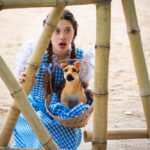 Teatro Municipal apresenta ‘O Mágico de Oz’ nesta quinta (10)