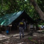 Sem comida, dez garimpeiros se entregam às forças de Segurança em Roraima