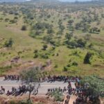 BR-174 é bloqueada por indígenas em protesto contra o marco temporal