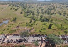 TRF1 acolhe tese do MPF e fixa prazo de cinco anos para demarcação de terra indígena em Roraima