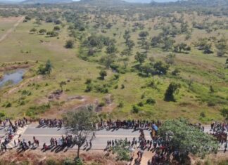 TRF1 acolhe tese do MPF e fixa prazo de cinco anos para demarcação de terra indígena em Roraima