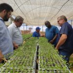 Comitiva da Guiana realiza visita técnica a agricultores de Roraima
