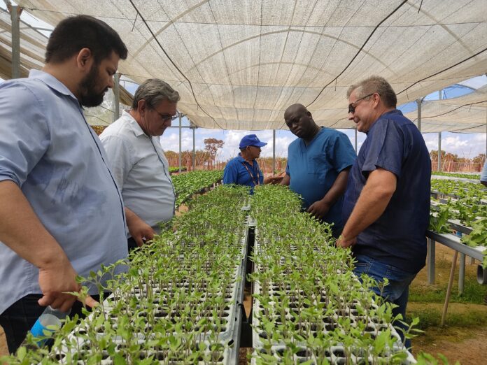Parceria entre Roraima e Guiana fortalece intercâmbio agrícola com foco em tecnologia e sustentabilidade (5)