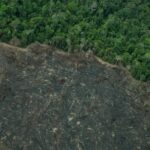 Contradizendo o governo federal, Greenpeace revela imagens de novos garimpos ilegais em terras indígenas