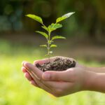 Inscrições para 3ª Conferência Municipal do Meio Ambiente de Boa Vista seguem até dia 19