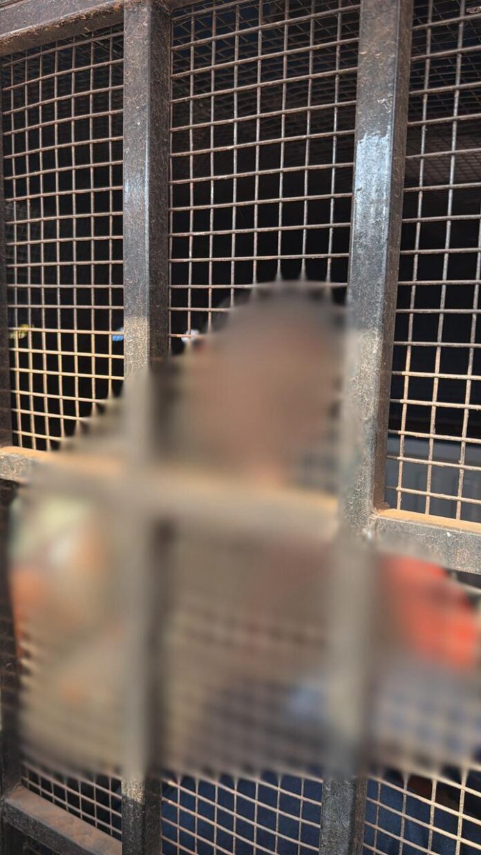 WhatsApp Image 2024-12-11 at 10.52.48