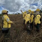 Instituto Chico Mendes e Ibama iniciam prevenção de incêndios em Roraima