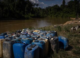 Comissão da Câmara aprova penas mais rígidas para exploração de recursos naturais em terras indígenas