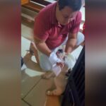 Vereador e deputado reclamam nas redes sociais após animais se assustarem com fogos durante Natal em Boa Vista