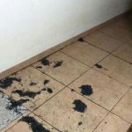 Moradores de bairros da zona Norte reclamam de fumaça e fuligem neste domingo (19)